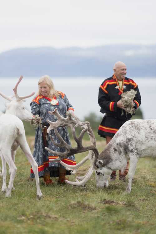 Laila Inga sammen med sine rein