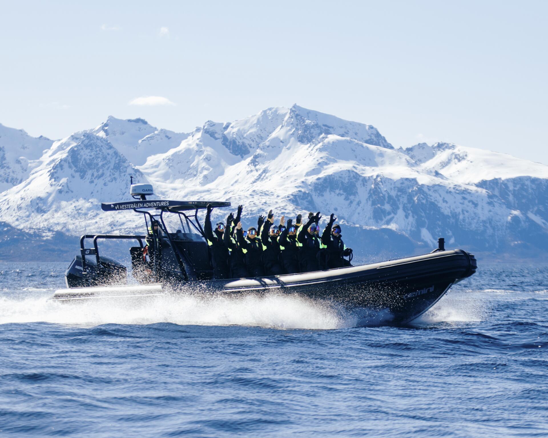 Opplev Trollfjorden med Vesterålen Adventures