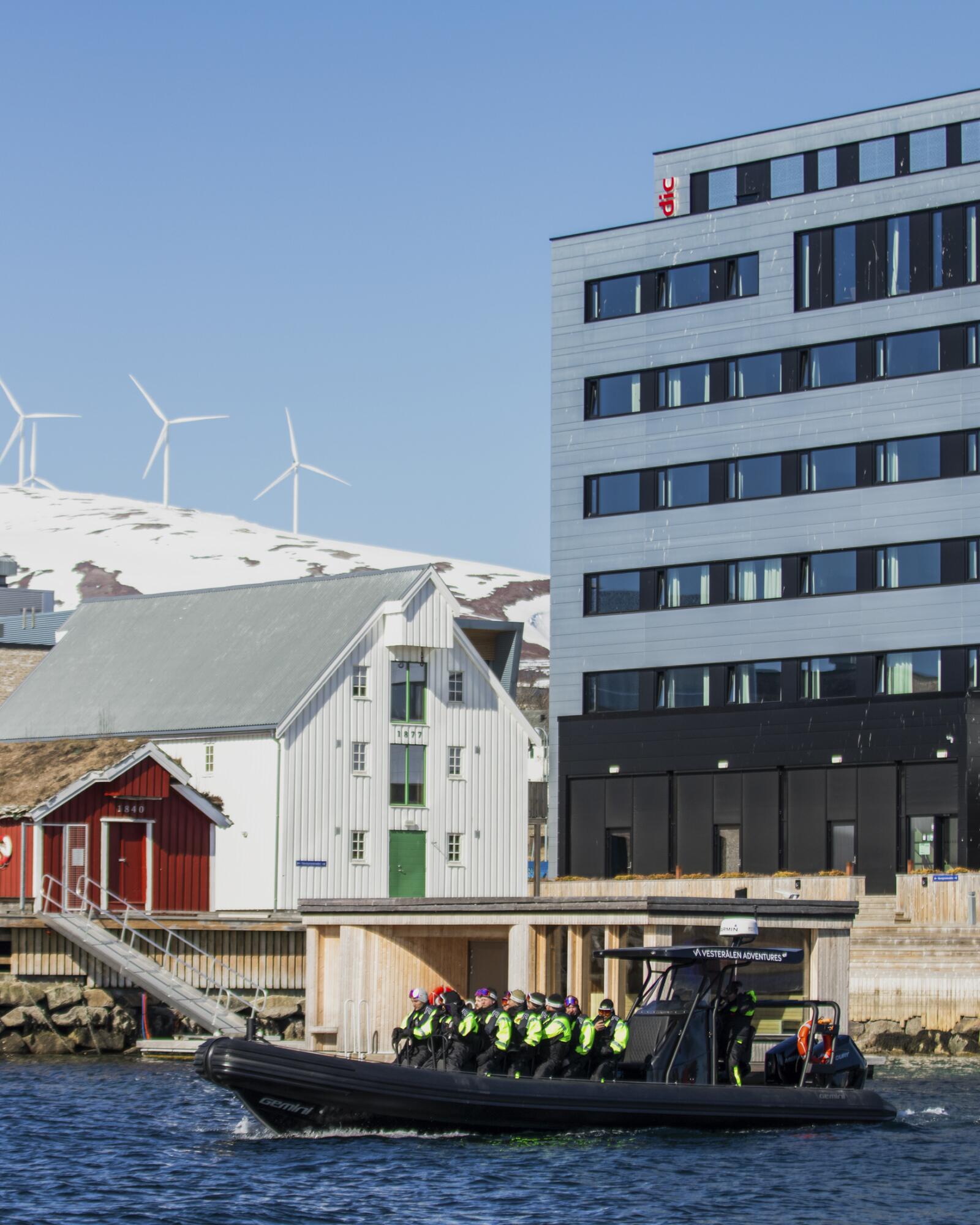 Fjord- og Havørnsafari - Sortland