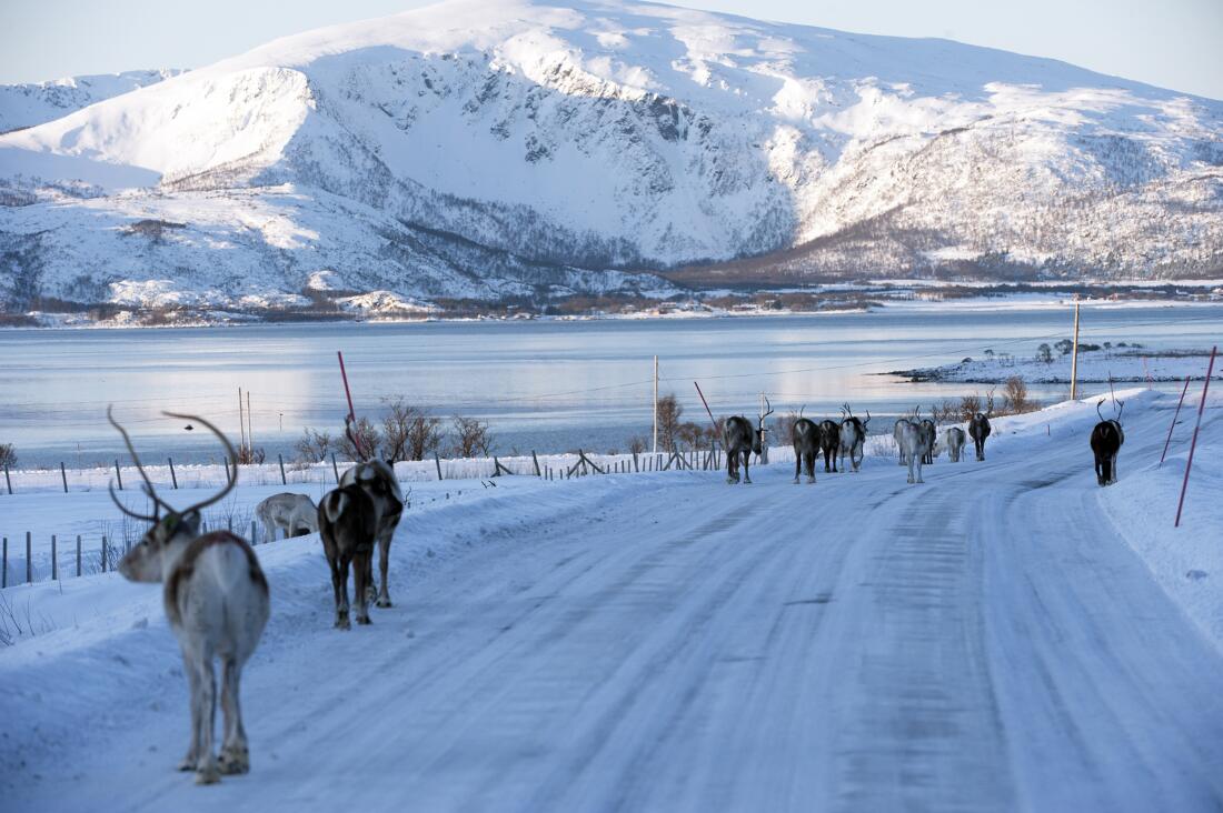 Drive safely in winter Vesterålen