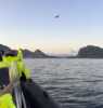 Ørnesafari på yttersiden av Vesterålen. Får øye på havørnen.