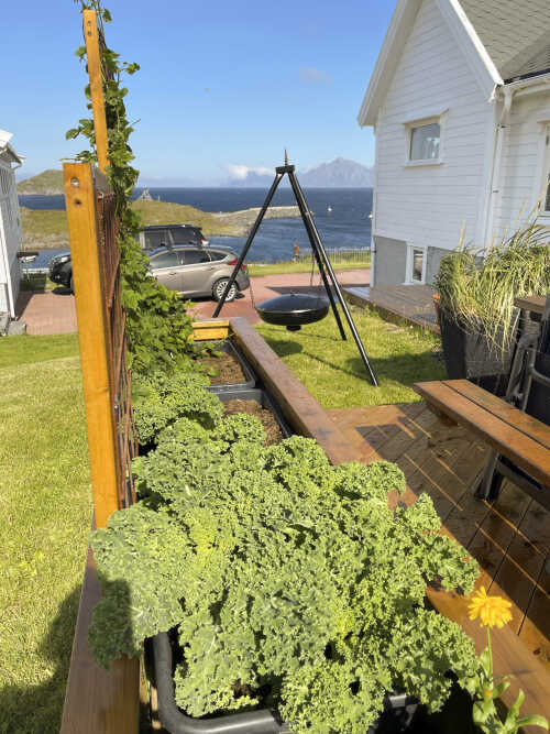 Ute i hagen