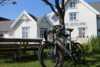 Bicycle parked by a tree outside Alveland.