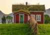 The Red House