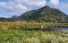 Marmelkroken surrounded by nature and mountains